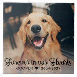 För alltid i vår Hearts Pet Memorial Photo Plaque Kakelplatta<br><div class="desc">För alltid i vår Hearts Pet Memorial Photo Visning Plaque med ett foto av ditt älskade sällskapsdjur och den rustiska men elegant typografin: "För evigt i våra hjärtan". Det finns gott om utrymme för dig att anpassa den. Gör ett underbart minne för hundälskare,  kattälskare eller djurälskare av alla slag.</div>