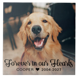 För alltid i vår Hearts Pet Memorial Photo Plaque Kakelplatta