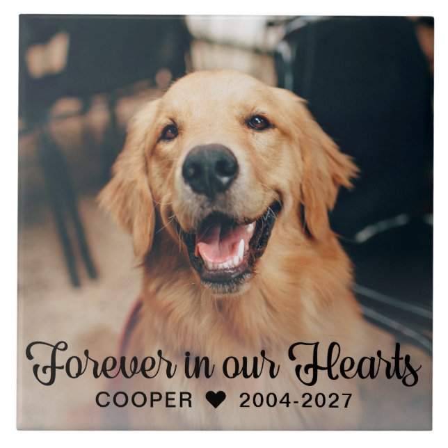 För alltid i vår Hearts Pet Memorial Photo Plaque Kakelplatta (Framsidan)