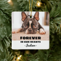 För alltid i våra hjärtan Pet Memorial Ornament