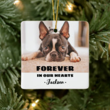 För alltid i våra hjärtan Pet Memorial Ornament