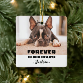 För alltid i våra hjärtan Pet Memorial Ornament