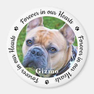 För alltid i vårt foto Pet Hund Memorial Magnet