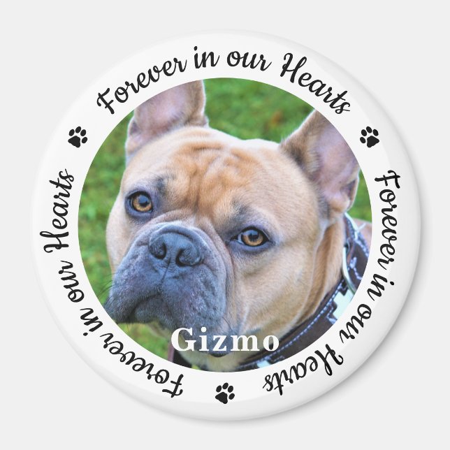 För alltid i vårt foto Pet Hund Memorial Magnet (Framsidan)