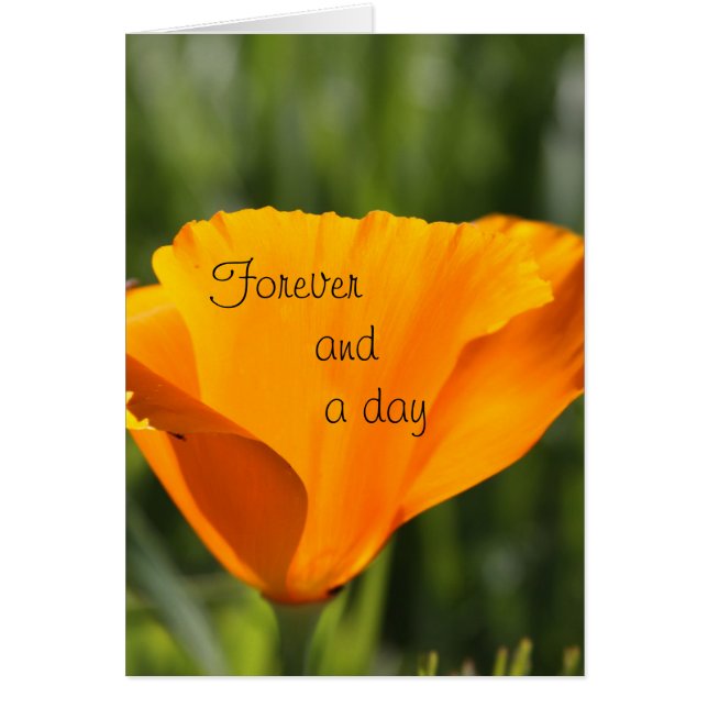 För alltid och en dag hälsningskort (Framsidan)