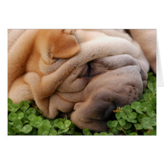 För alltid omgiven av ditt hjärta hälsningskort