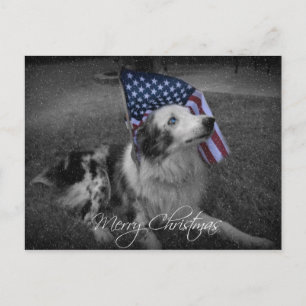 För amerikanska flagganhund för jul blått synad helg vykort