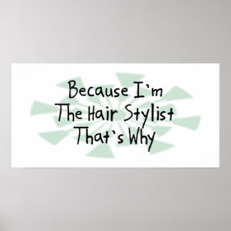 För att jag är Hair Stylist Poster