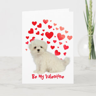 För att jag Woof Kärlek är din maltesiska Hund Val Helgkort