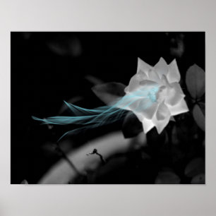 För att läka ett brutet hjärta - foto från Söt Vit Poster