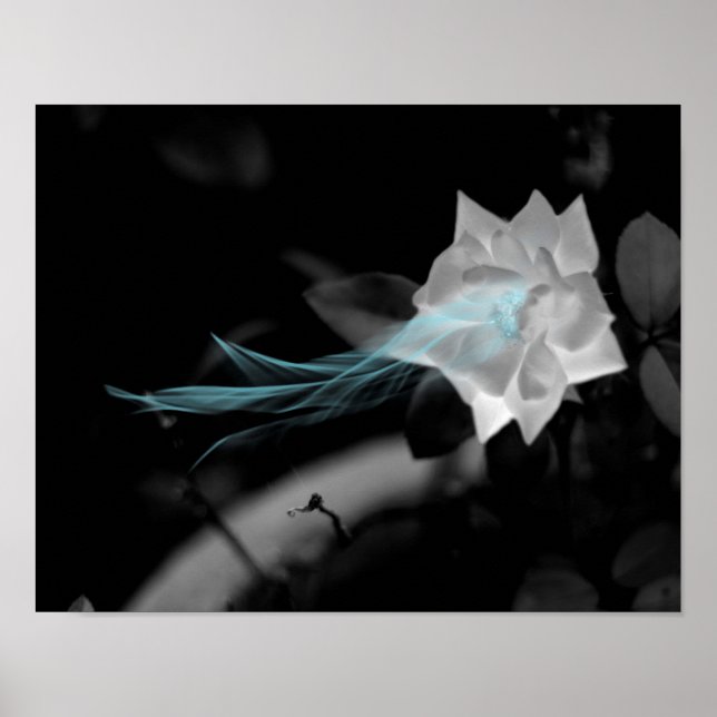 För att läka ett brutet hjärta - foto från Söt Vit Poster (Framsidan)