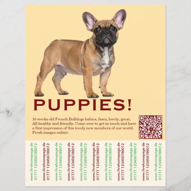 För att sälja Frenchies Puppy Flyer (Framsidan)