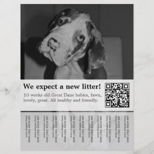 För att sälja svartvita valpar Flyer