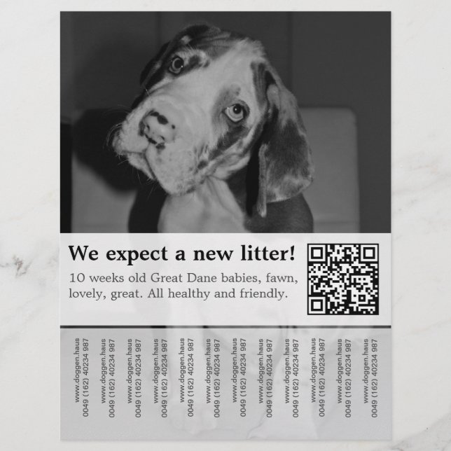 För att sälja svartvita valpar Flyer (Framsidan)