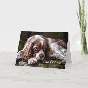 För barn sympati ledsen Cocker Spaniel Kort