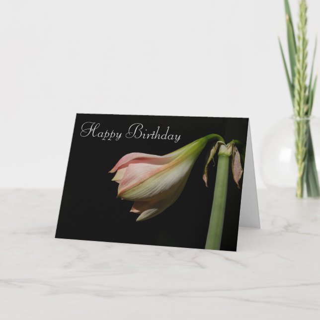 För B'Day för Amaryllis 53 kort ~ (Framsida)