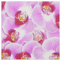 För BG-strålpunkt för blommigt abstrakt foto för