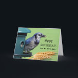 För Birth Son Birthday med Blue Jay vid Feeder Kort<br><div class="desc">Grattis på födelsedagen för en födelseson. En blå Jay på en fågelmatare tillsammans med vetehuvuden visas på det här fågelmatkortet. Underbart kort för fågeln älskare i ditt liv. Art,  bild och versell copyright © Shoaff Ballanger Studios,  2023.</div>
