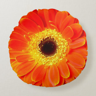 för blommarunda för orange daisy dekorativ kudde