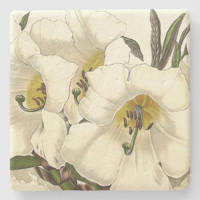 För blommasten för Rhododendron blom- kustfartyg Stenunderlägg (Framsidan)