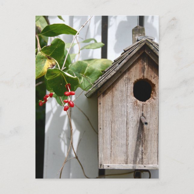 För Bob Vykort (Framsida)