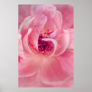 För Bokeh för rosamolnträdgård rosa mall bakgrund Poster