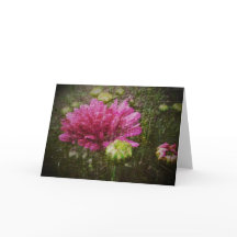 För början hälsningkort igen