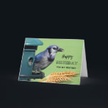 För Brother Birthday med Blue Jay vid Feeder Kort<br><div class="desc">Grattis på födelsedagen för en bror. En blå Jay på en fågelmatare tillsammans med vetehuvuden visas på det här fågelmatkortet. Underbart kort för fågeln älskare i ditt liv. Art,  bild och versell copyright © Shoaff Ballanger Studios,  2023.</div>