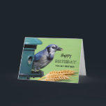 För Brother Birthday med Blue Jay vid Feeder Kort<br><div class="desc">Grattis på födelsedagen för en bror. En blå Jay på en fågelmatare tillsammans med vetehuvuden visas på det här fågelmatkortet. Underbart kort för fågeln älskare i ditt liv. Art,  bild och versell copyright © Shoaff Ballanger Studios,  2023.</div>