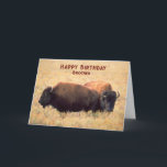 För Brother Birthday med ett par Bison Kort<br><div class="desc">På födelsedagen hälsas en bror med ett par bison på prärien med höga gräs. Art,  bild och versell copyright © Shoaff Ballanger Studios,  2023.</div>