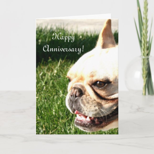 För bulldogghälsning för lycklig årsdag franskt kort (Framsida)