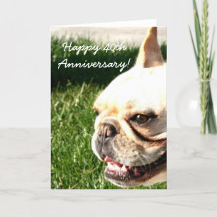 För bulldogghälsning för lycklig årsdag franskt kort