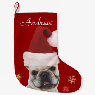 För bulldogghund för jul fransk strumpa