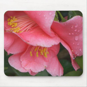 För Camelia för AX rosa mousepad blomma Musmatta