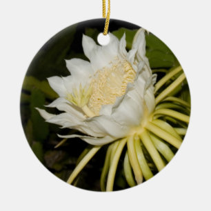 För cereusblomma för natt blomma ornament. julgransprydnad keramik