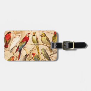 För Conure för vintagepapegojakakadua Cockatiel Bagagebricka