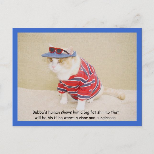 För Coola Bubba Kattunge Vykort (Framsida)