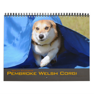 För CorgiAgility för Pembroke walesisk kalender