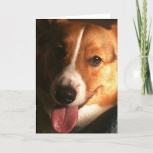 För Corgihälsning för kofta walesiskt kort