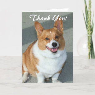 För corgihälsning för tack walesiskt kort