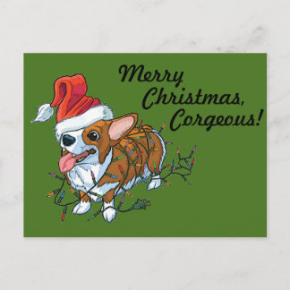 För Corgivalp för Pembroke walesiskt ljus för Helg Vykort