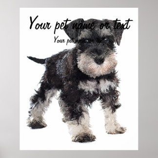 För Cute Puppy Ministern Schnauzer Hund Poster