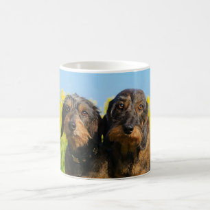 För Dackel för två gullig taxhundar _för foto Kaffemugg