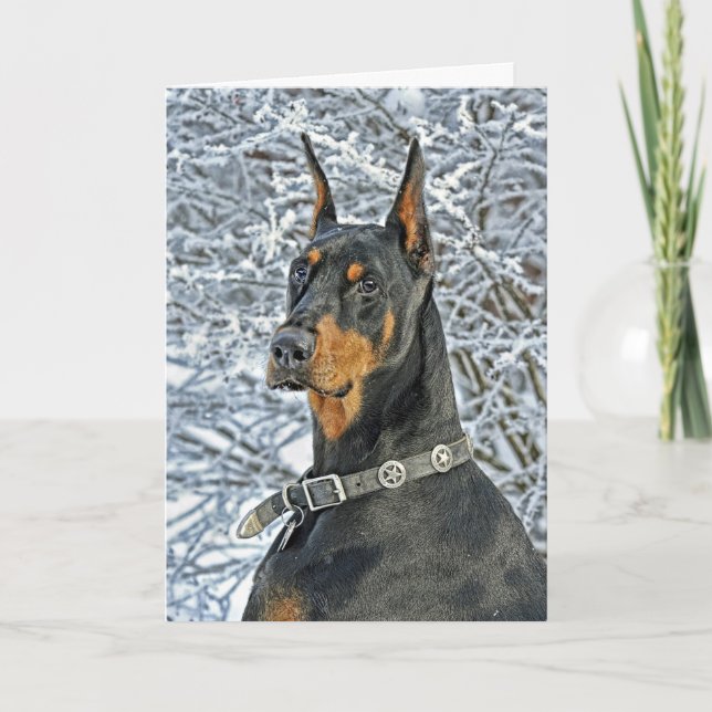 För daghelgdag för Doberman frostigt kort (Framsida)