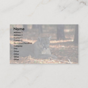 """" För den Florida """" pantern (puma) som Visitkort