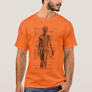 För diagramUtslagsplats 4 för människokropp T Shirt