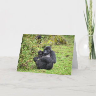 För Dian Fossey för hälsningkort fond gorilla Kort