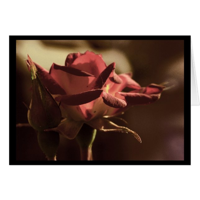 För dig hälsningskort (Framsidan Horizontal)