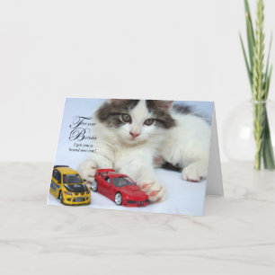För dina kort för födelsedag (katt)
