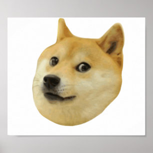 För Doge wow mycket mycket hund sådan Shiba Shib Poster